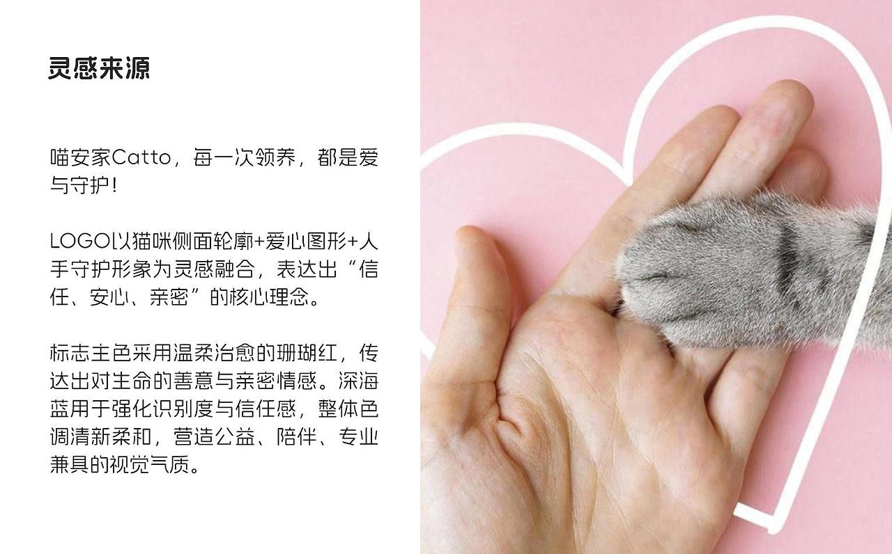 小杨的品牌视觉提案