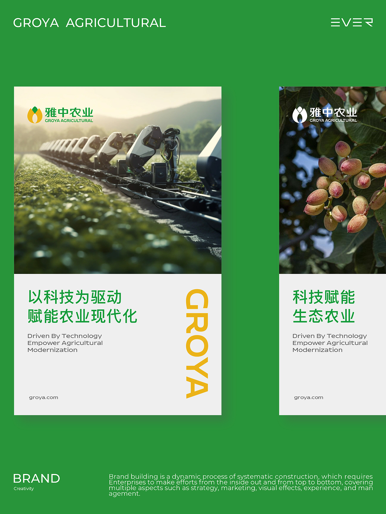 一个种开心果的农业品牌