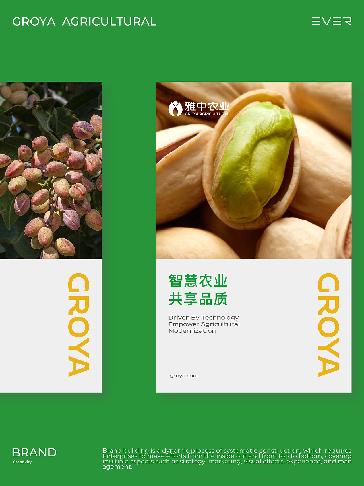 一个种开心果的农业品牌