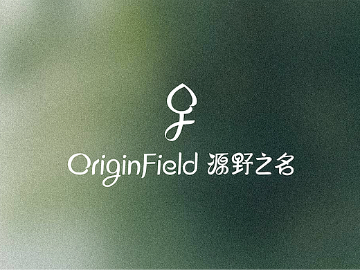 源野之名护肤品牌设计 | LOGO设计/标志/VI