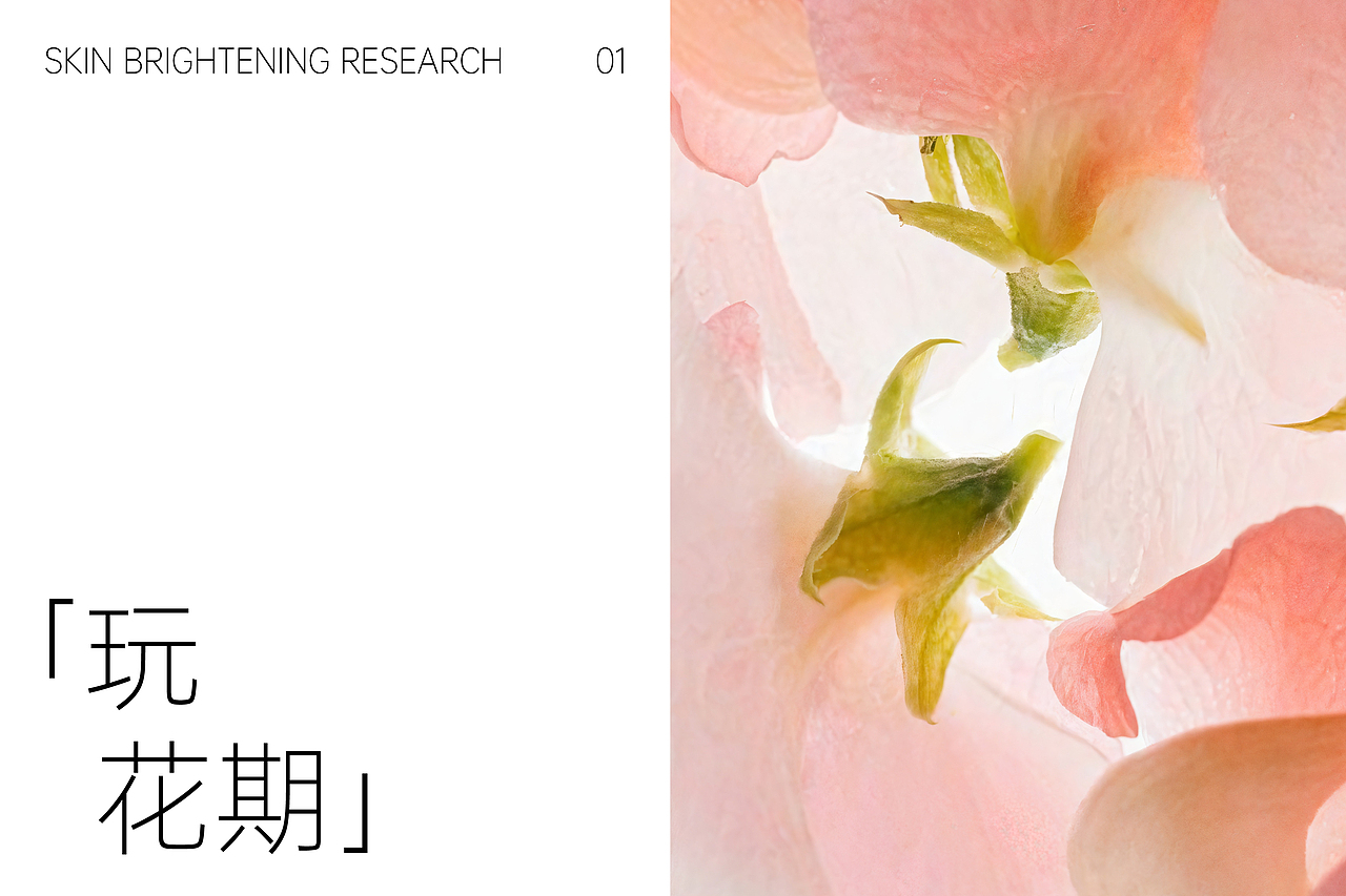 花本间护肤品牌设计 | LOGO设计/标志/VI（图ZMzk3NTk4NjUy） - 品牌 - 站酷设计师开天目品牌设计原创素材 - 站酷ZCOOL