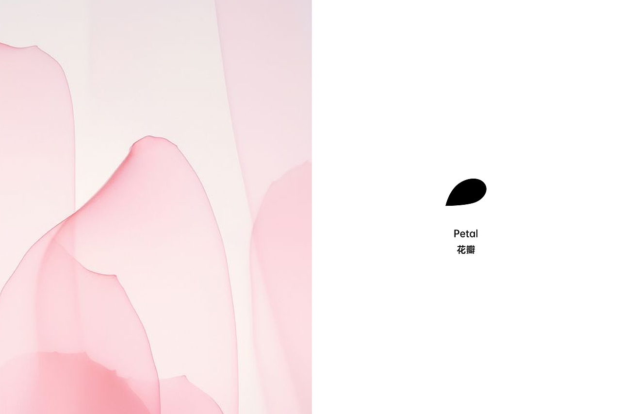 花本间护肤品牌设计 | LOGO设计/标志/VI（图ZMzk3NTk4NzU2） - 品牌 - 站酷设计师开天目品牌设计原创素材 - 站酷ZCOOL