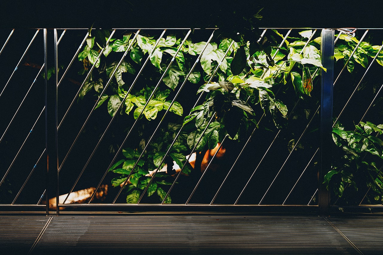 让晚风轻轻吹送了落霞（图ZMzk3NjA2MDUy） - 风光摄影 - 站酷设计师photographer_mo原创素材 - 站酷ZCOOL