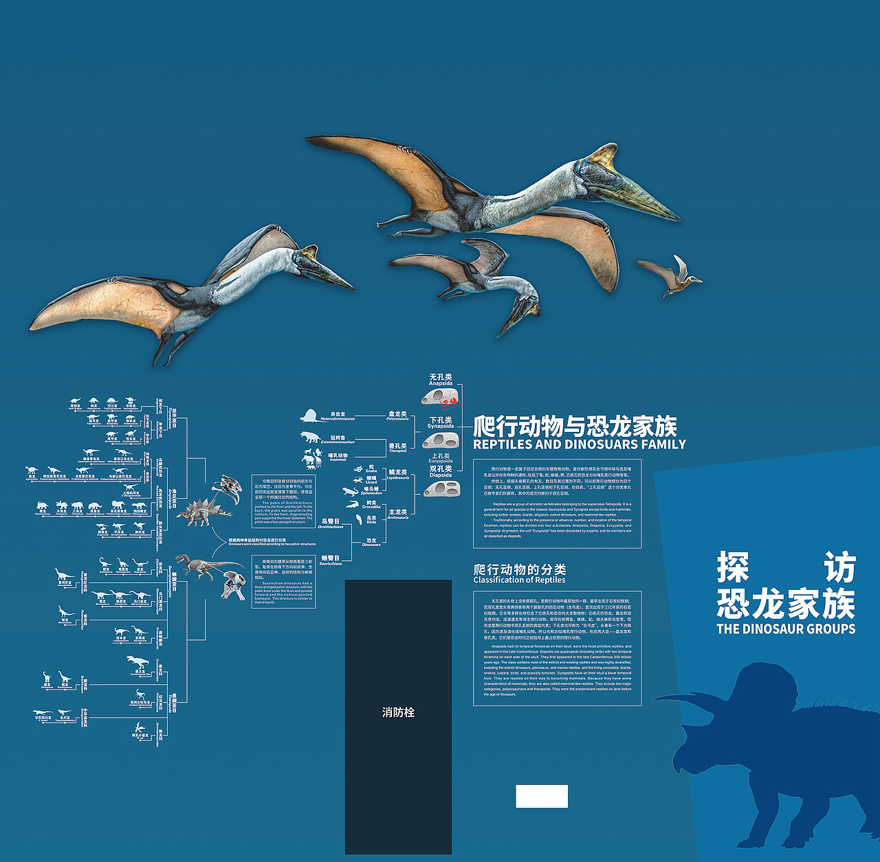 成都恐龙展（图ZMzk3NjE1Mjky） - 宣传物料 - 站酷设计师丨海盗船长丨原创素材 - 站酷ZCOOL