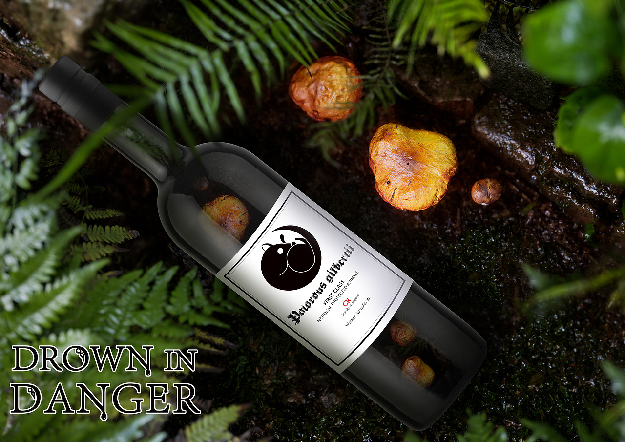 if 投稿-3D包装概念设计-生态保护主题（图ZMzk3NjE3NjE2） - 产品 - 站酷设计师Captain_Z_777原创素材 - 站酷ZCOOL