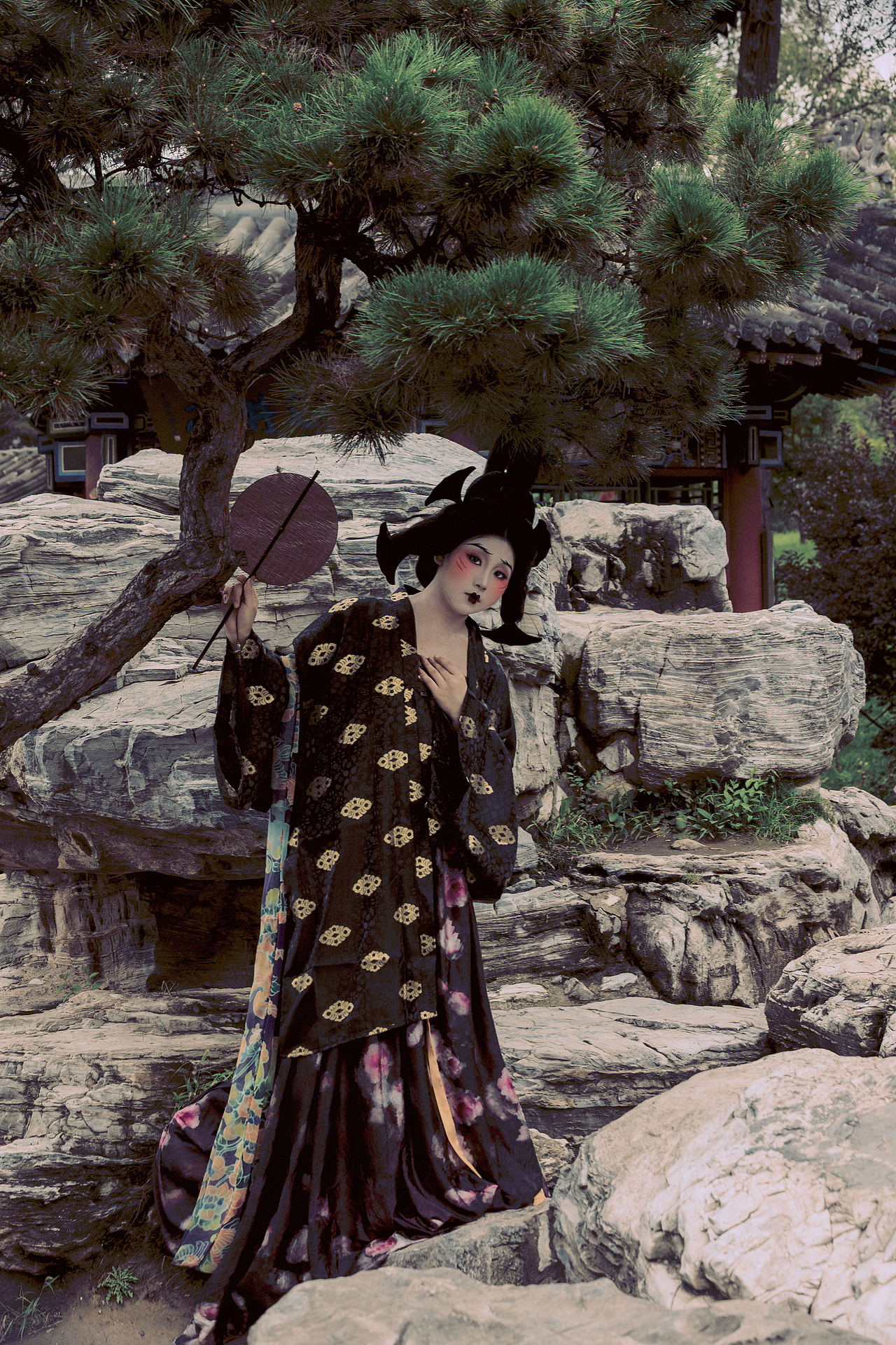 晚唐·太和险妆