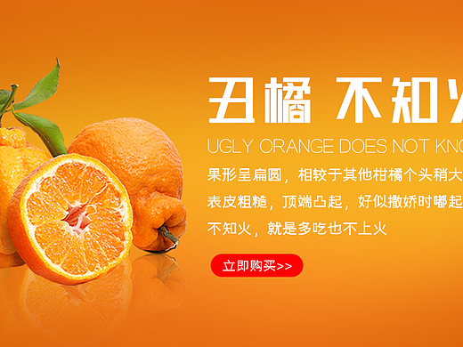 橙色丑橘不知火水果电商海报