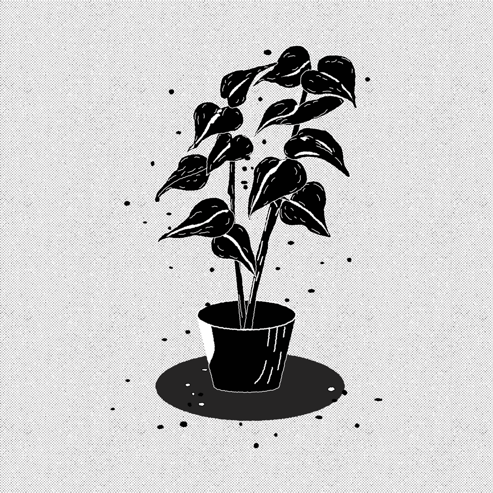 黑白灰系列静物 动态插画