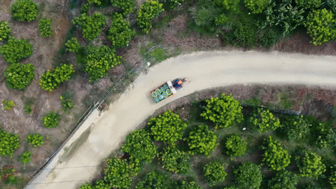 抖音电商x苏童｜丰收节 这份丰收请你签收（图ZMzk3NjQ0ODM2） - 宣传片 - 站酷设计师盘马弯弓PMWG原创素材 - 站酷ZCOOL