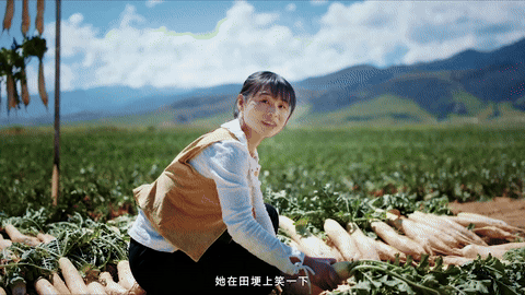 抖音电商x苏童｜丰收节 这份丰收请你签收（图ZMzk3NjQ0ODc2） - 宣传片 - 站酷设计师盘马弯弓PMWG原创素材 - 站酷ZCOOL