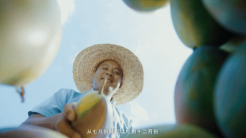 抖音电商x苏童｜丰收节 这份丰收请你签收（图ZMzk3NjQ0ODg0） - 宣传片 - 站酷设计师盘马弯弓PMWG原创素材 - 站酷ZCOOL