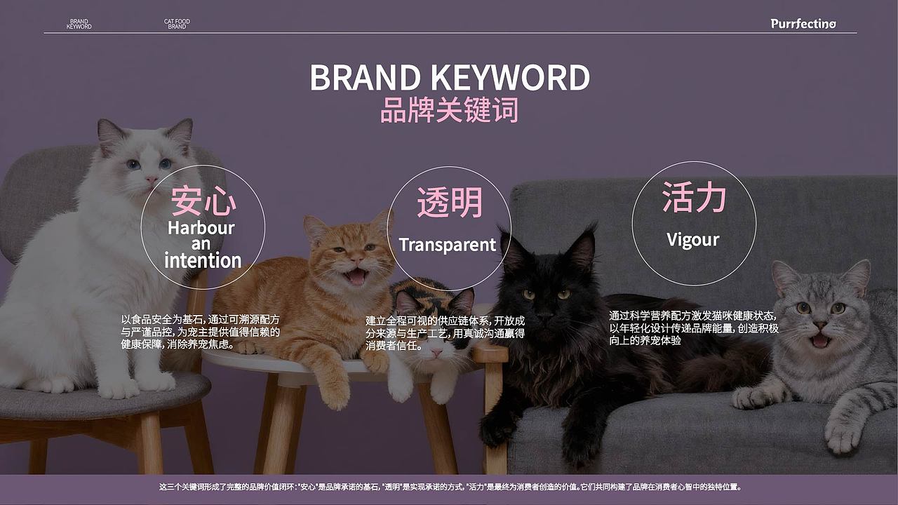 Purrfectino 帕菲诺 宠物品牌设计（图ZMzk3NjU4MjQw） - 品牌 - 站酷设计师冬石榴16原创素材 - 站酷ZCOOL