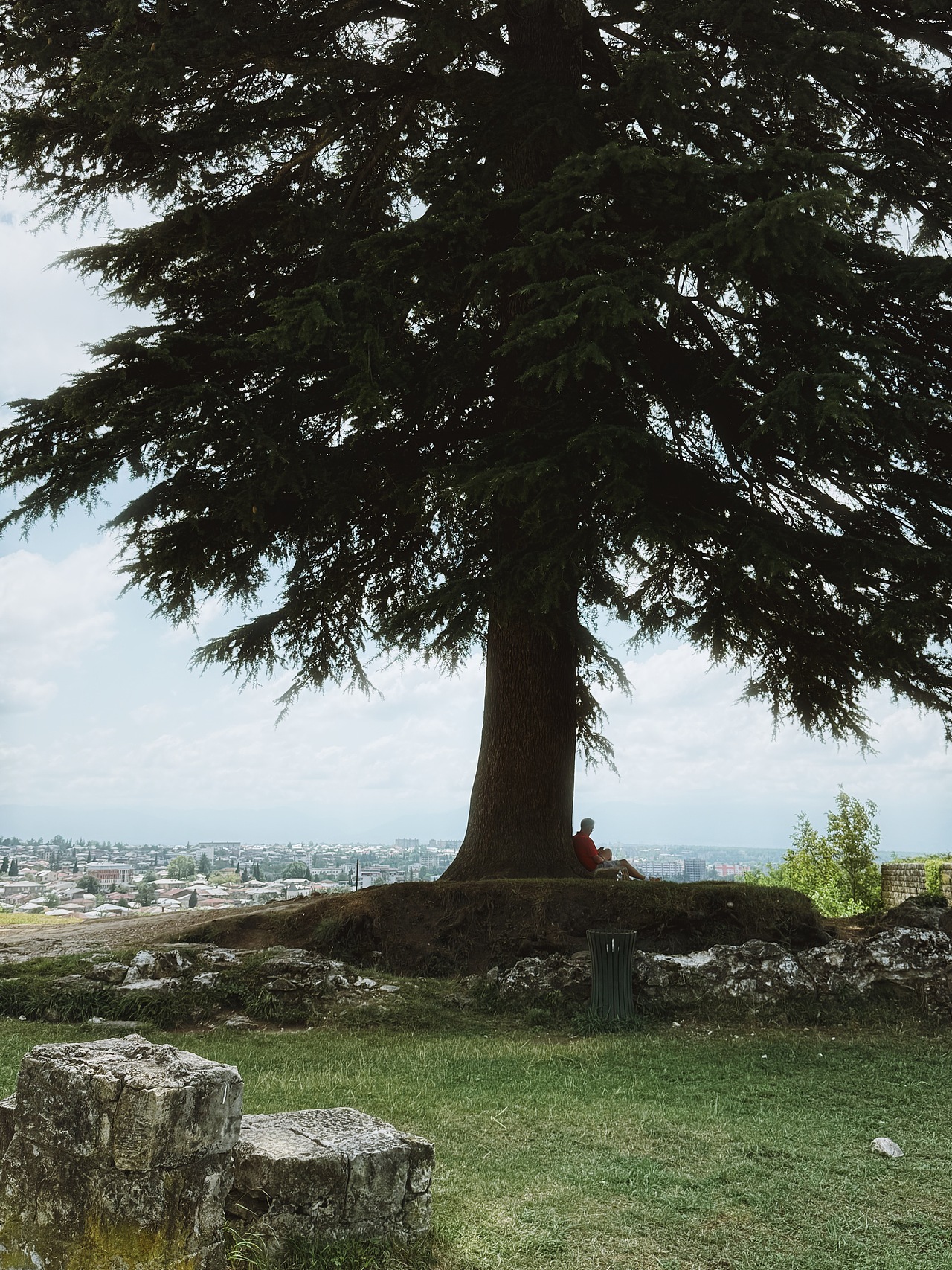 格鲁吉亚，亚美尼亚