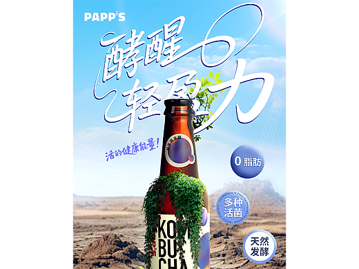 海报练习13