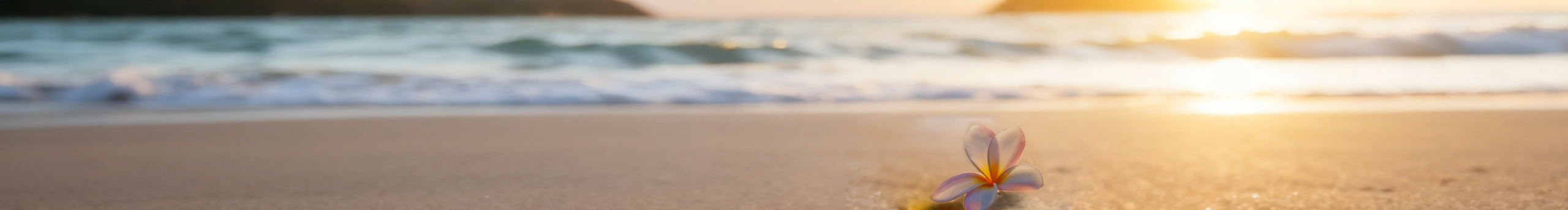 書宣吖的個(gè)人主頁（封面預(yù)覽） - 主頁封面設(shè)置 - 站酷設(shè)計(jì)師書宣吖原創(chuàng)素材 - 站酷ZCOOL