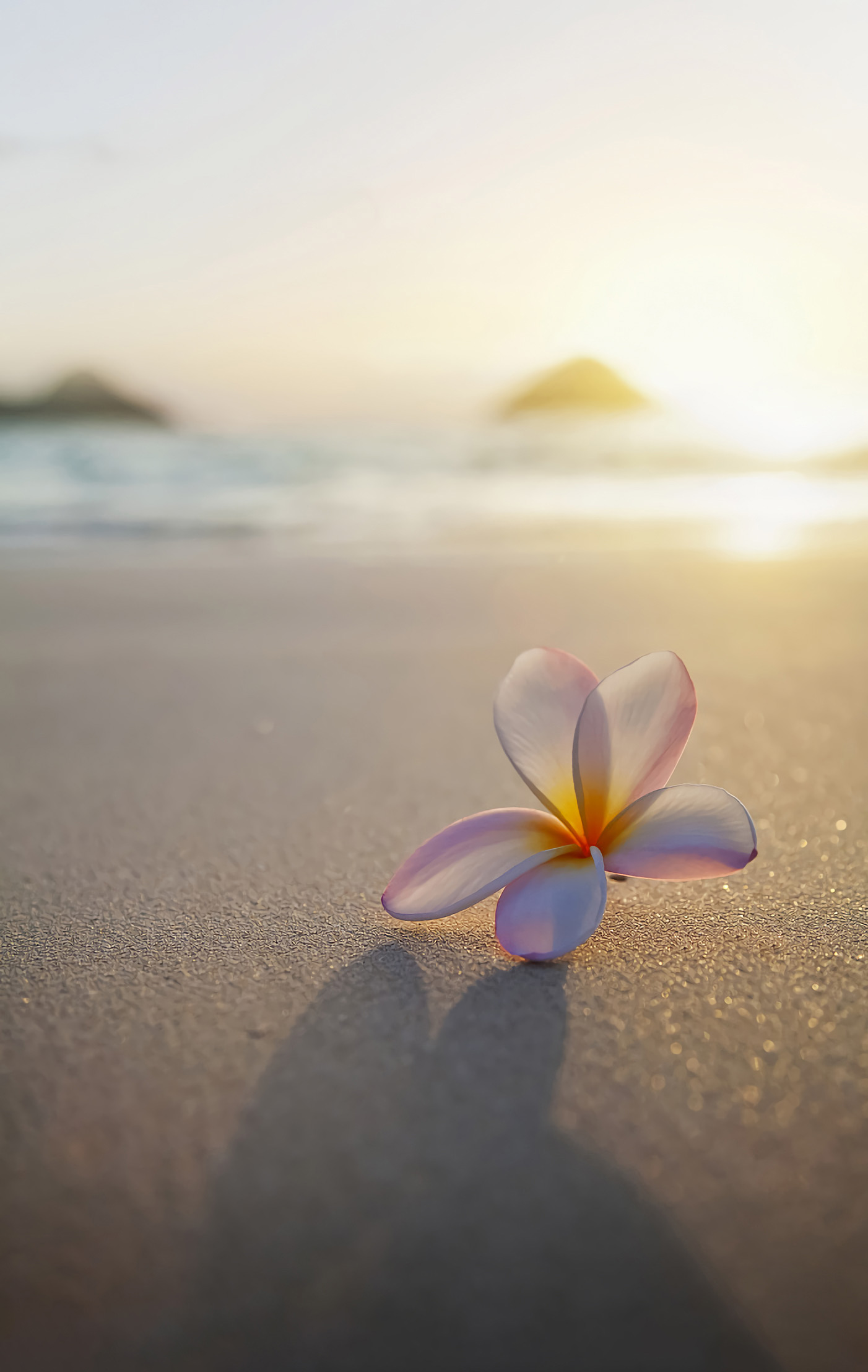 書宣吖的個(gè)人主頁（背景預(yù)覽） - 主頁背景設(shè)置 - 站酷設(shè)計(jì)師書宣吖原創(chuàng)素材 - 站酷ZCOOL