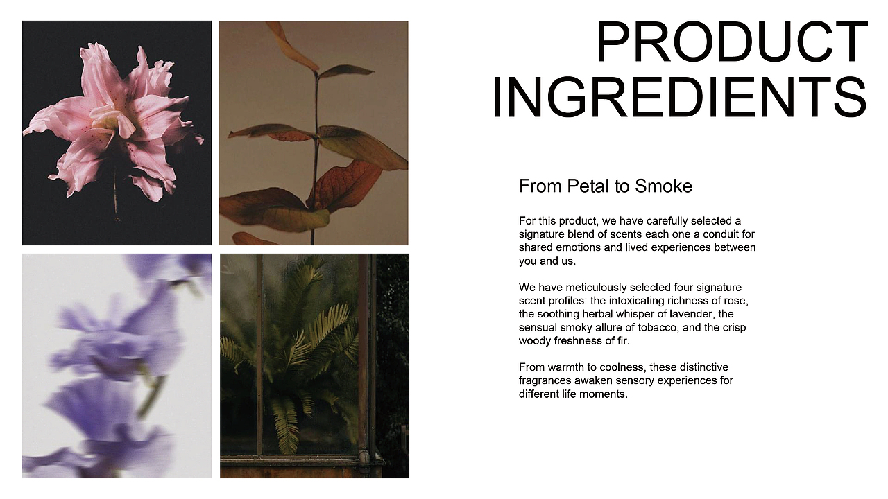 EUOPHO|品牌/插画包装设计