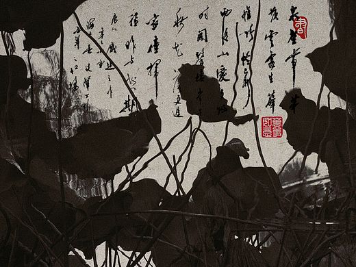 黑白摄影