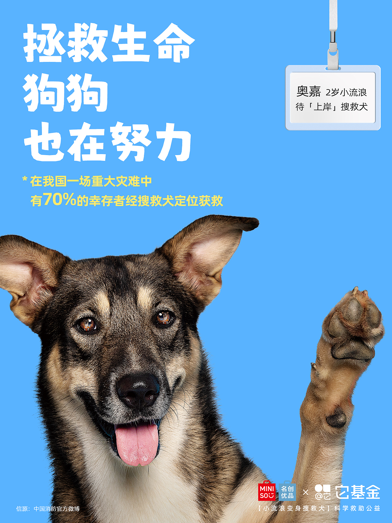 【公益广告拍摄】人，狗想上岸 求捞捞（图ZMzk3NzA3OTcy） - 宠物摄影 - 站酷设计师Pointphoto原创素材 - 站酷ZCOOL