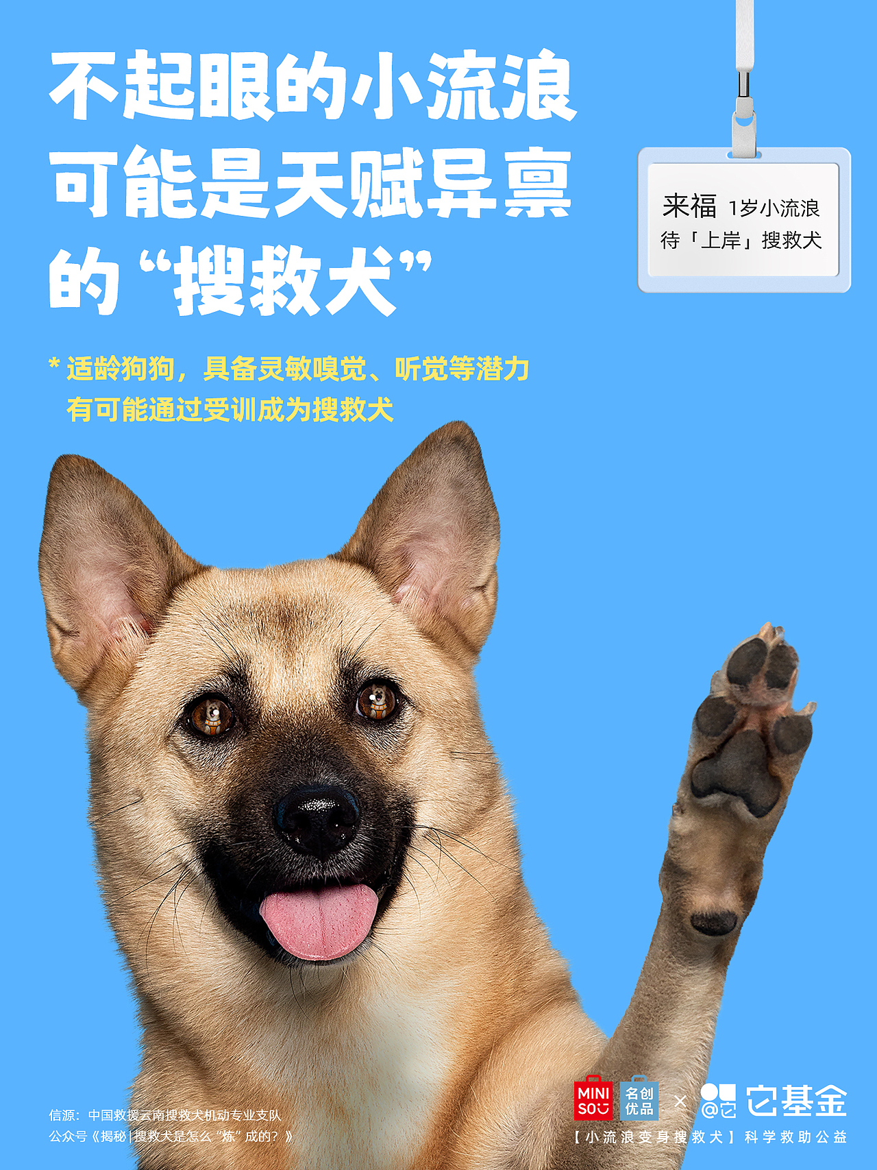 【公益广告拍摄】人，狗想上岸 求捞捞（图ZMzk3NzA3OTgw） - 宠物摄影 - 站酷设计师Pointphoto原创素材 - 站酷ZCOOL