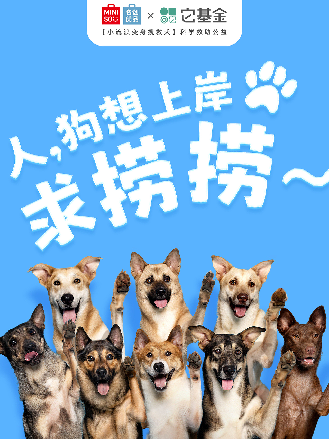 【公益广告拍摄】人，狗想上岸 求捞捞（图ZMzk3NzA3OTY0） - 宠物摄影 - 站酷设计师Pointphoto原创素材 - 站酷ZCOOL