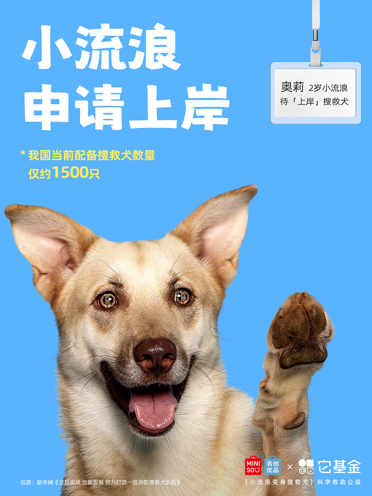 【公益广告拍摄】人，狗想上岸 求捞捞（图ZMzk3NzA3OTYw） - 宠物摄影 - 站酷设计师Pointphoto原创素材 - 站酷ZCOOL