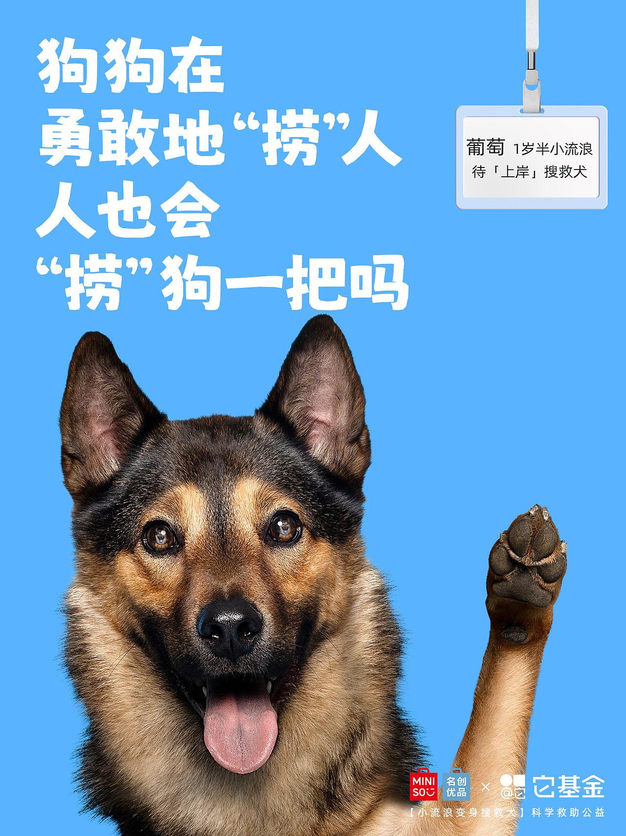 【公益广告拍摄】人，狗想上岸 求捞捞（图ZMzk3NzA4MzAw） - 宠物摄影 - 站酷设计师Pointphoto原创素材 - 站酷ZCOOL