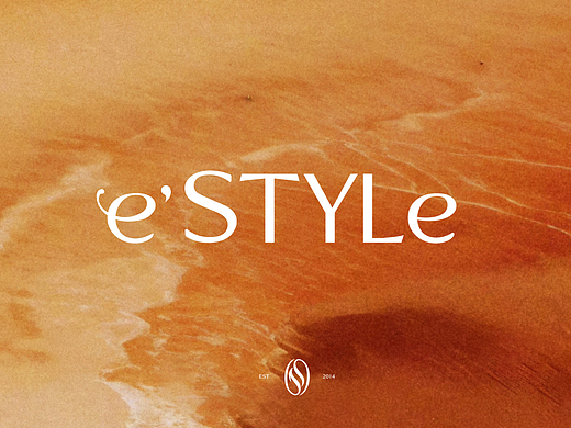 e’STYLe_科技美肤品牌LOGO·VI全案设计