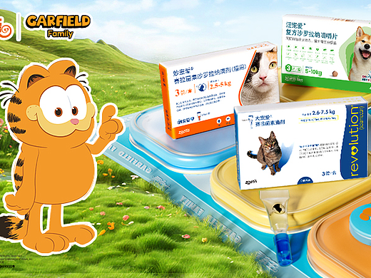 大宠爱 AI驱动全域增长