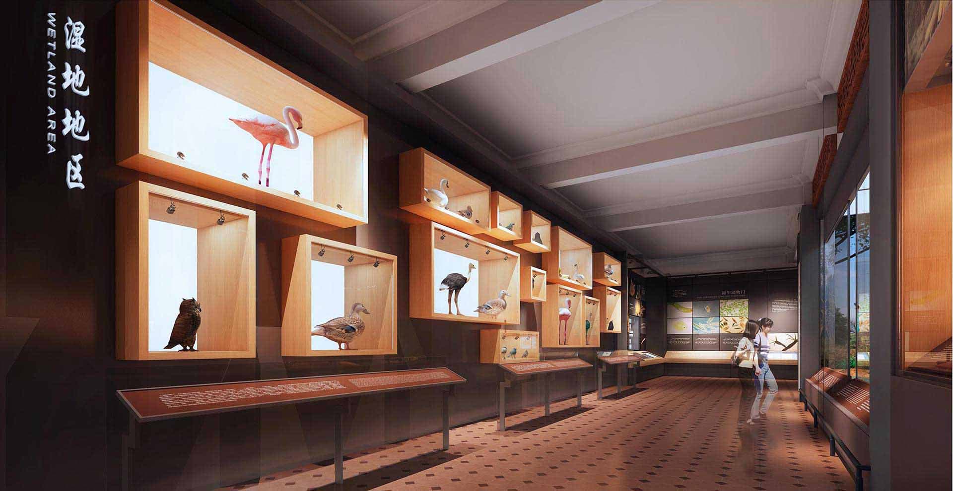 华南农业博物馆：耕读岁月，筑梦农业未来-森克思科技