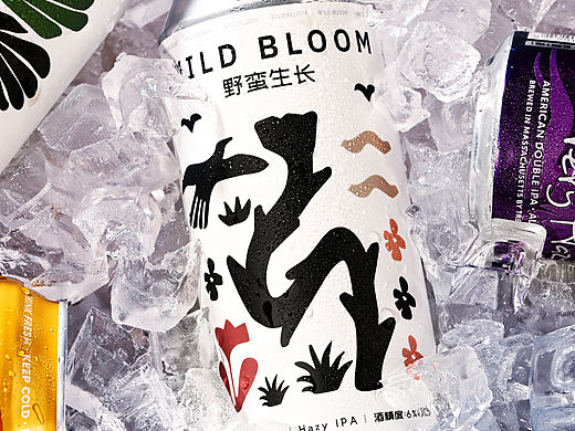 精酿啤酒包装设计