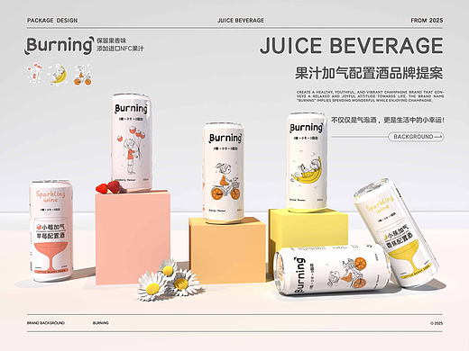 果汁加气配制酒提案