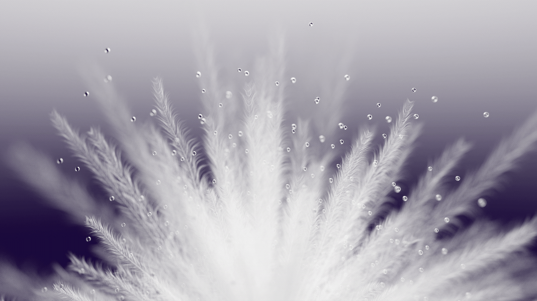 【SUNNYWHITEGreen羽绒服产品视频】