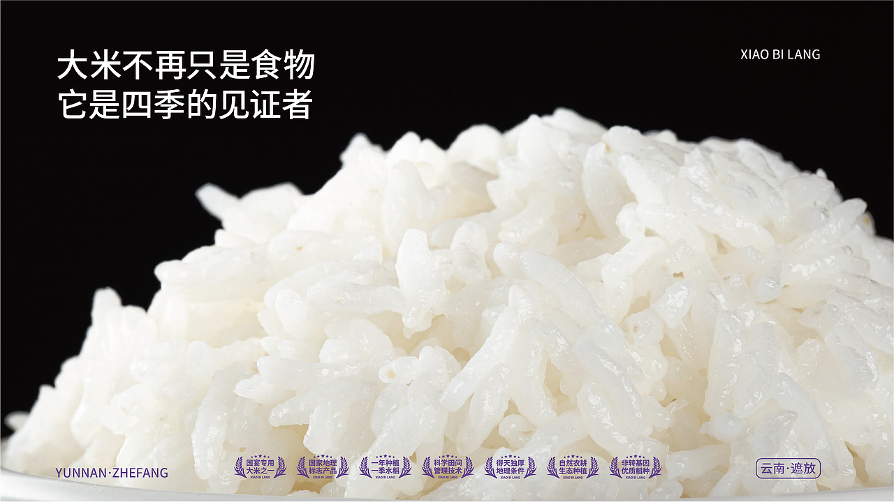 小毕朗·云南芒市大米品牌升级战略全案策划