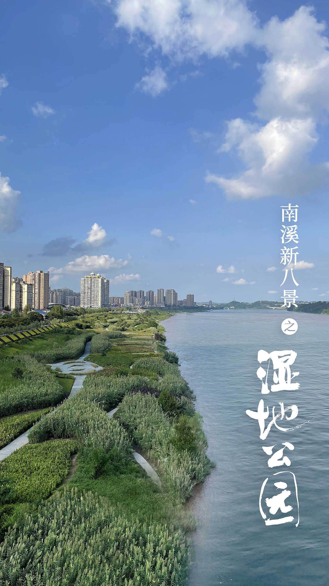斯科/手写/字体设计/海报