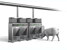 養(yǎng)豬用上AI和大數據？工業(yè)設計賦能，讓養(yǎng)殖戶輕松省心還賺錢！