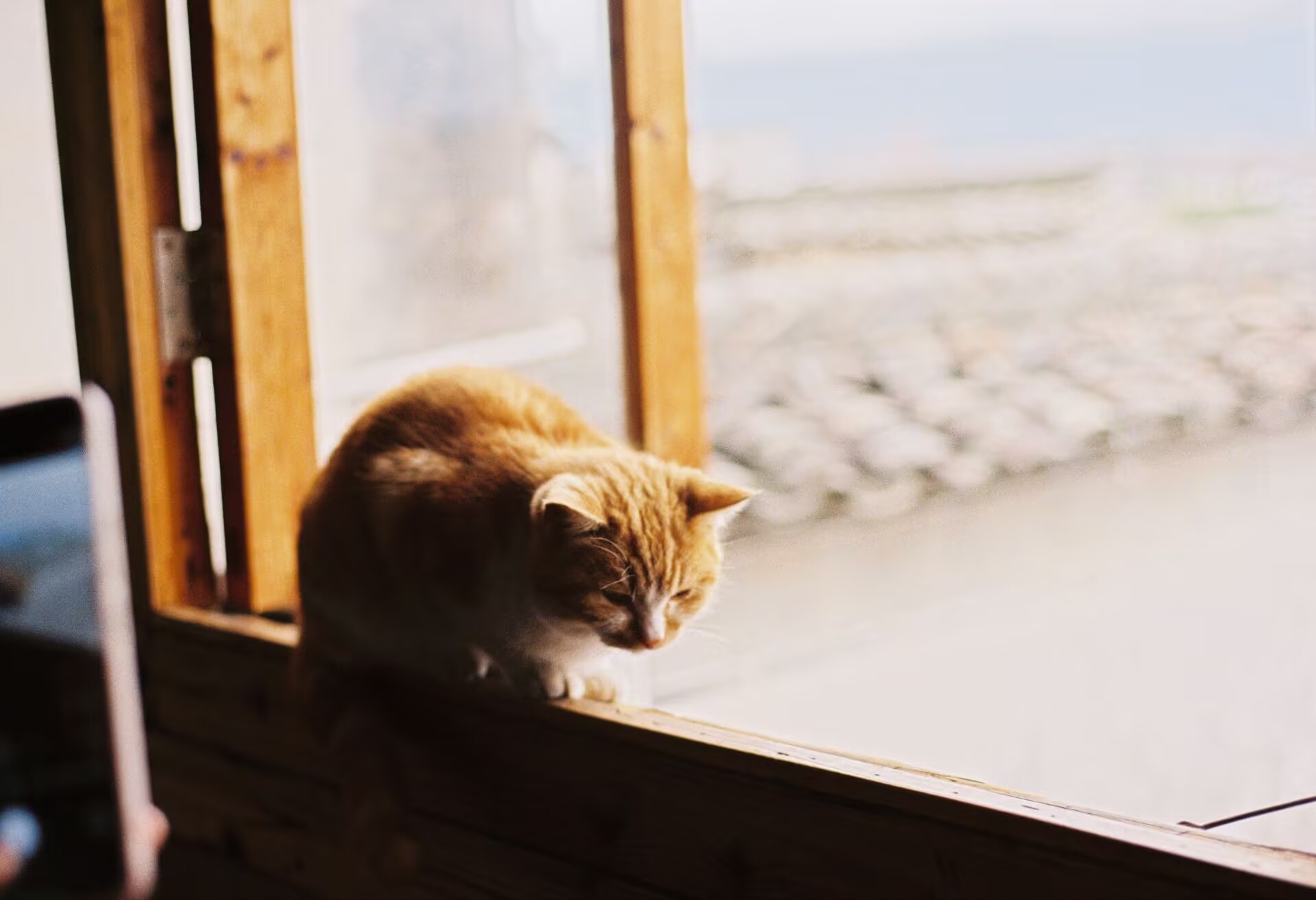 大肥貓時光機的個人主頁（封面預覽） - 主頁封面設置 - 站酷設計師大肥貓時光機原創(chuàng)素材 - 站酷ZCOOL