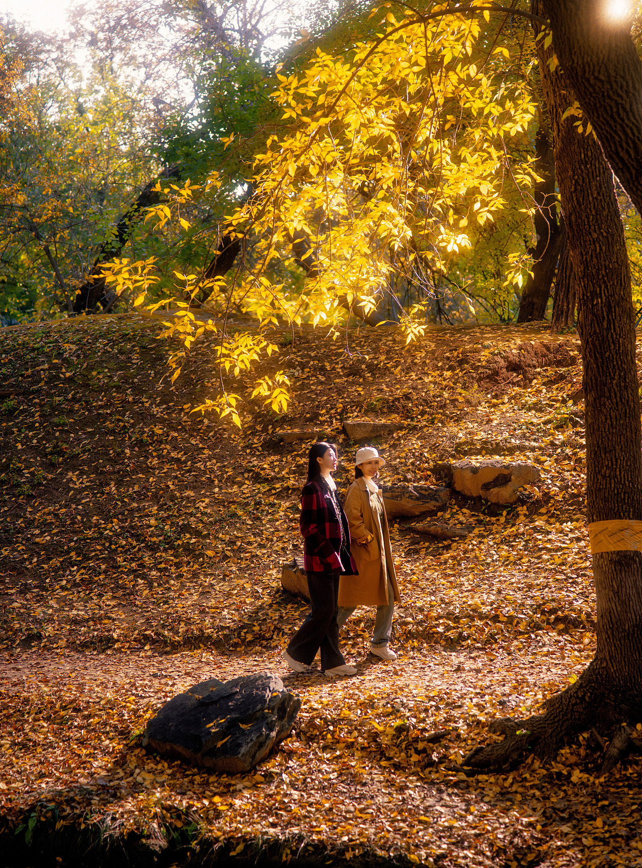圆明园萍香榭秋色亲子写真