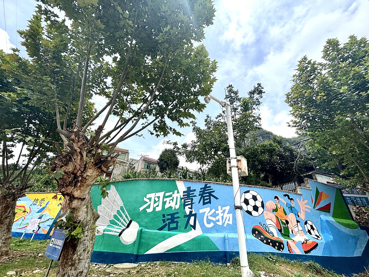 体育文化墙墙绘 校园文化墙墙绘 紫云墙绘