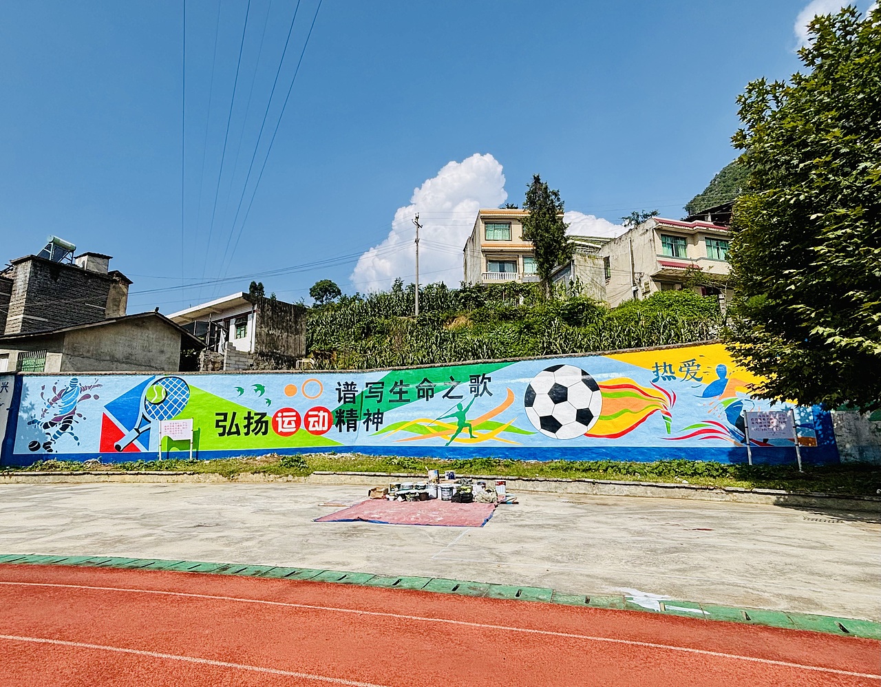 体育文化墙墙绘 校园文化墙墙绘 紫云墙绘