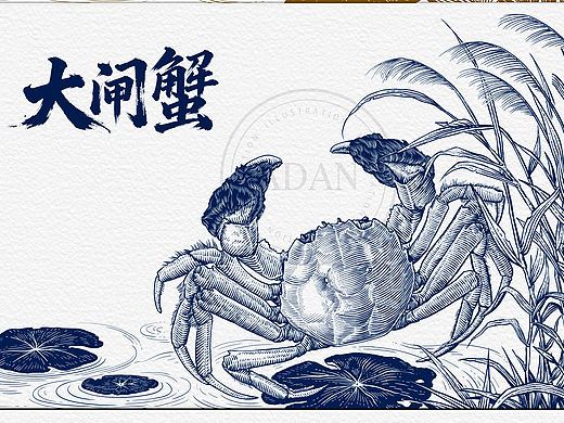 合作插画-大闸蟹|钢笔画|版画