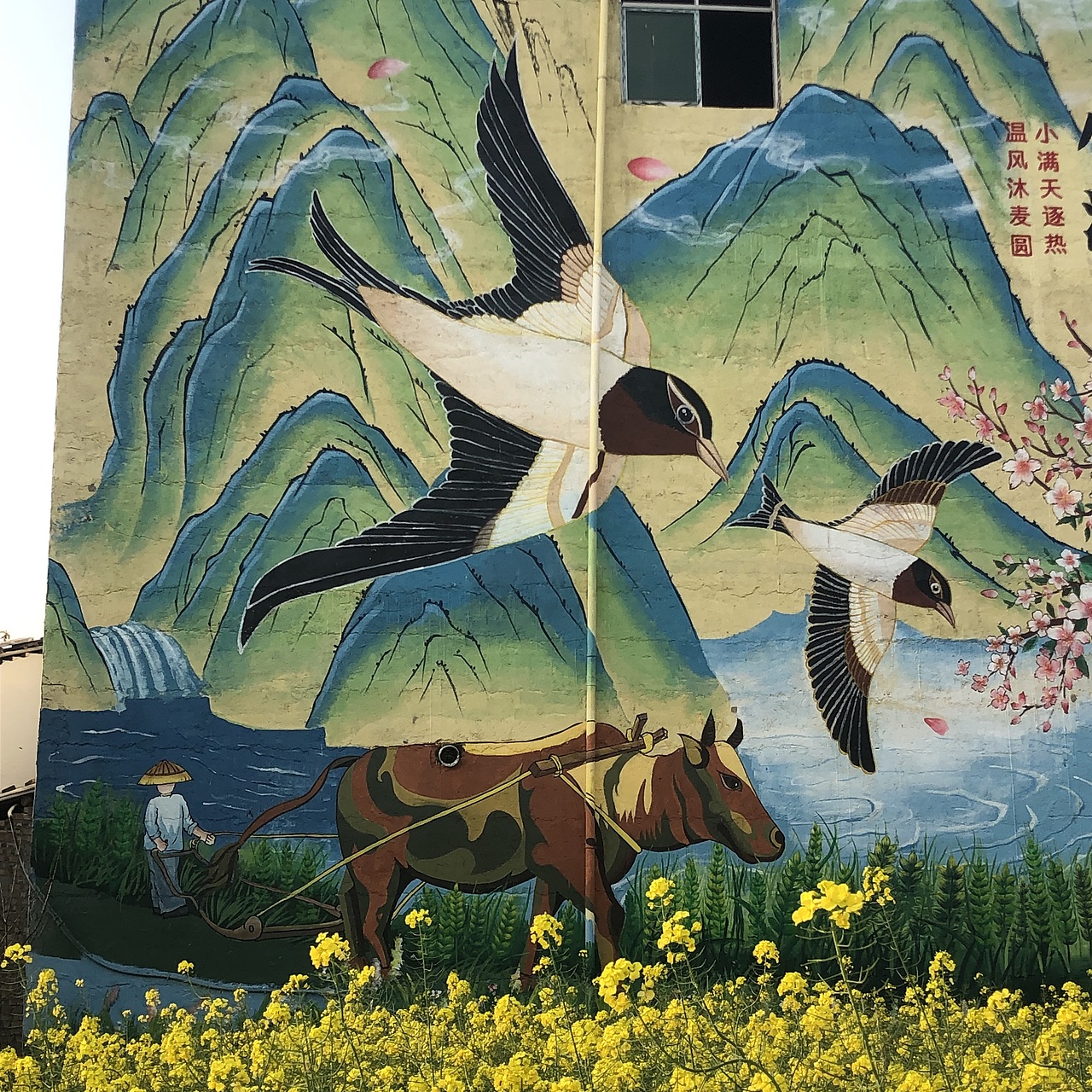 贵州巨幅24节气墙绘乡村振兴立面美化墙绘团队精心打造