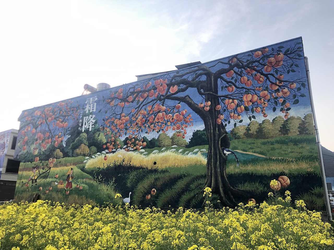 贵州巨幅24节气墙绘乡村振兴立面美化墙绘团队精心打造