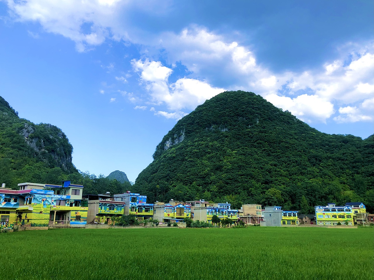 油菜花海美丽乡村立面美化紫云文化墙贵州墙绘