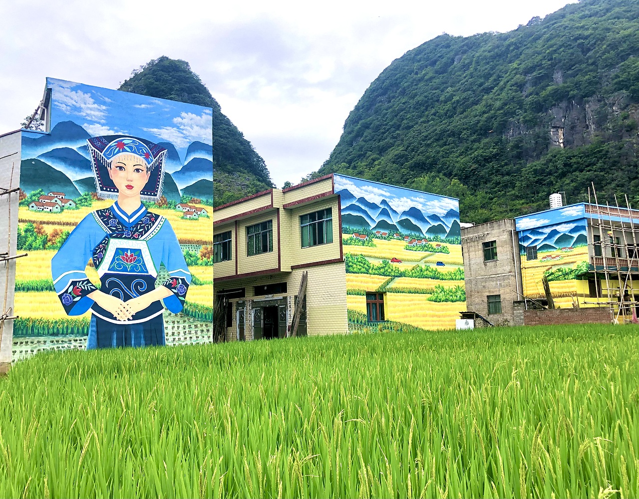 油菜花海美丽乡村立面美化紫云文化墙贵州墙绘