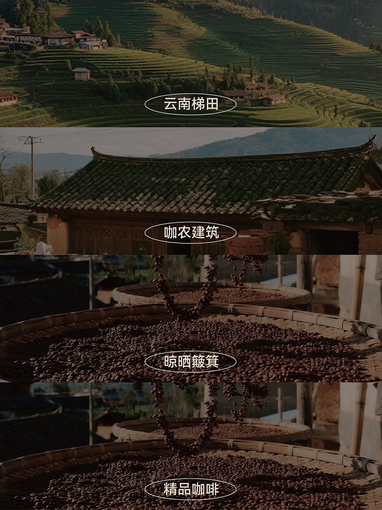 咖啡品牌VI｜logo设计｜VI设计｜茶饮VI设计