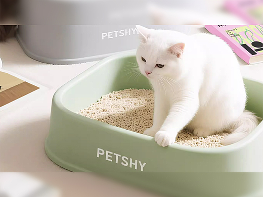 PETSHY | 猫砂视频 ✖ 众目摄影 |