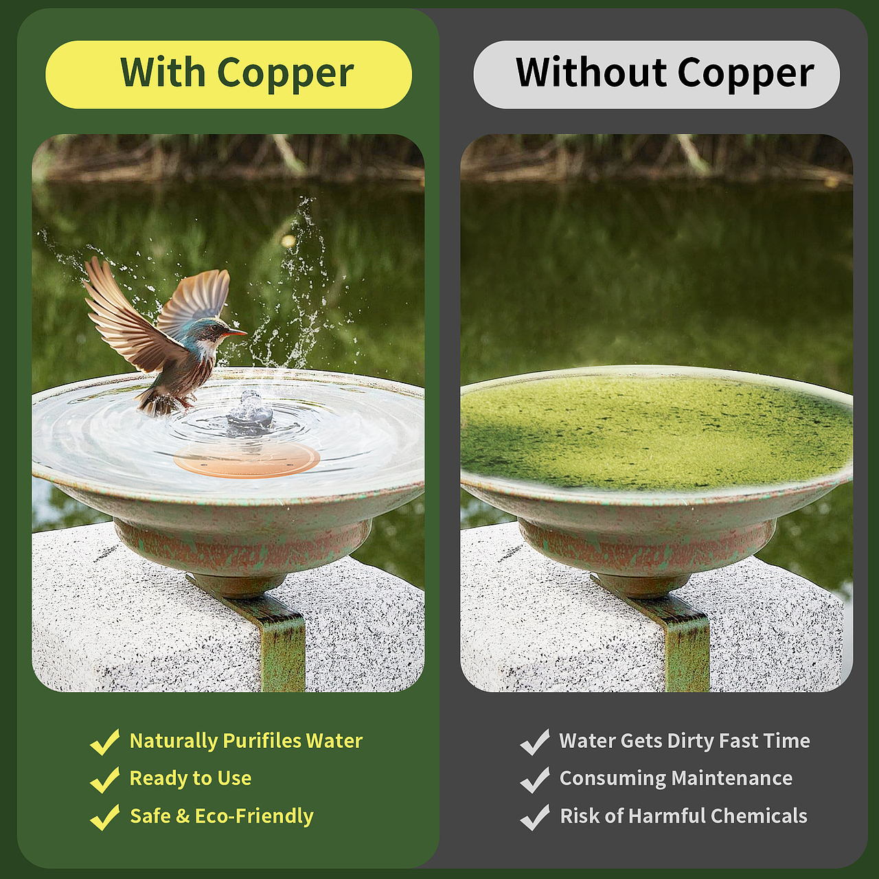 亞馬遜-凈化鳥(niǎo)喝的水的水質(zhì)的銅片（圖ZMzk3ODUyODEy） - 生活用品 - 站酷設(shè)計(jì)師gerychen原創(chuàng)素材 - 站酷ZCOOL