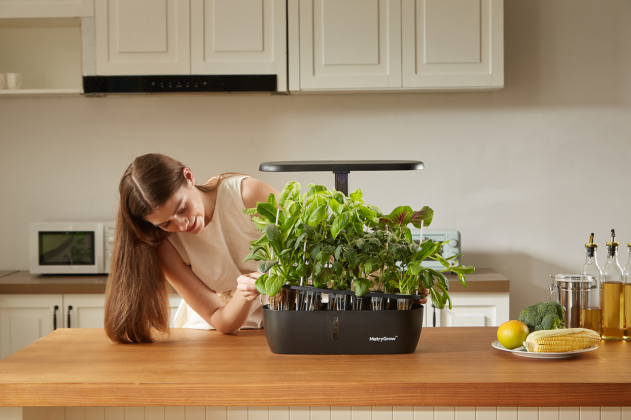 家电摄影｜植物水培器｜静观水影，滋养新生（图ZMzk3ODUzOTg0） - 产品摄影 - 站酷设计师跨境电商家具摄影原创素材 - 站酷ZCOOL