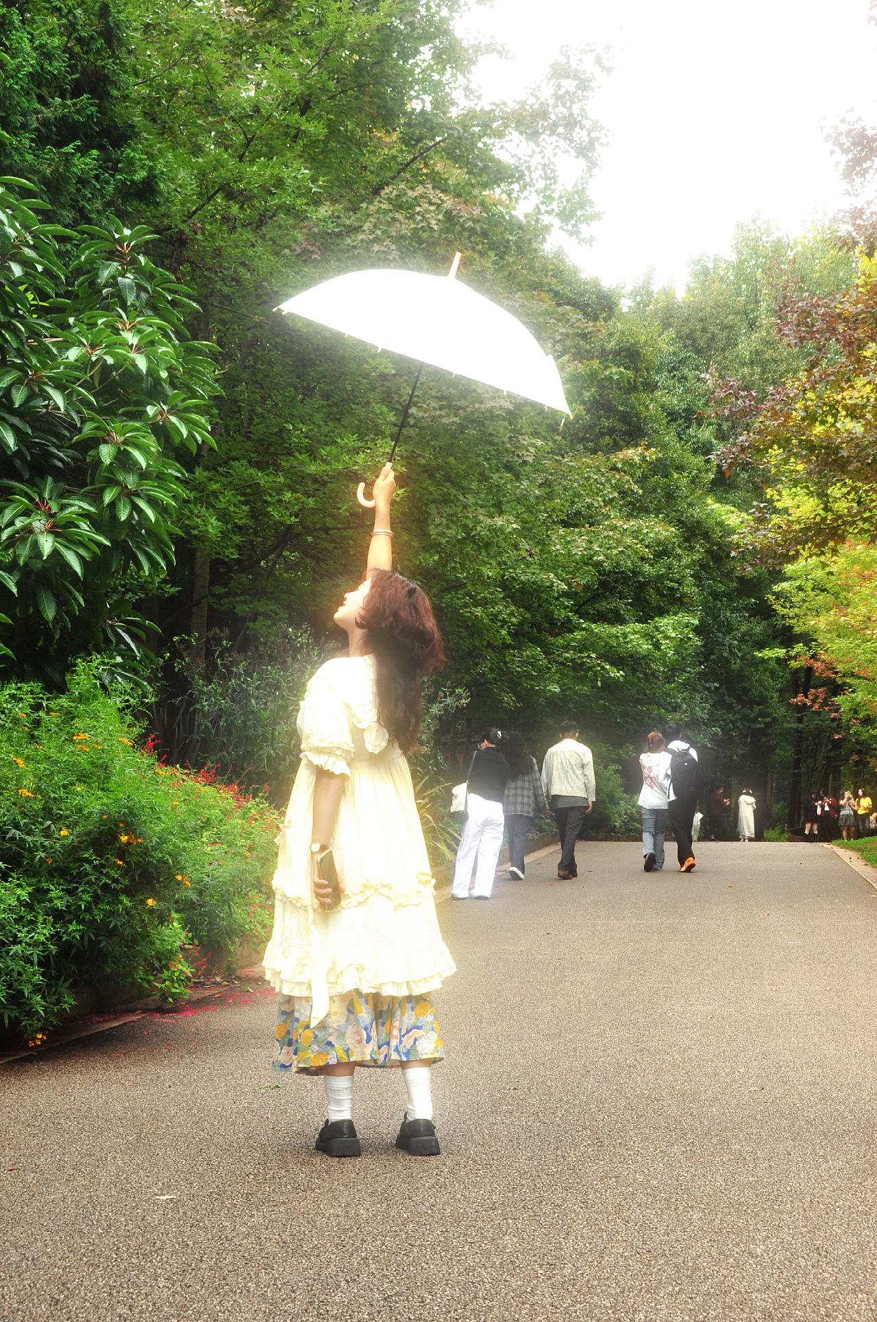 生活偶尔也需要一点‘光合作用’☀️，比如现在